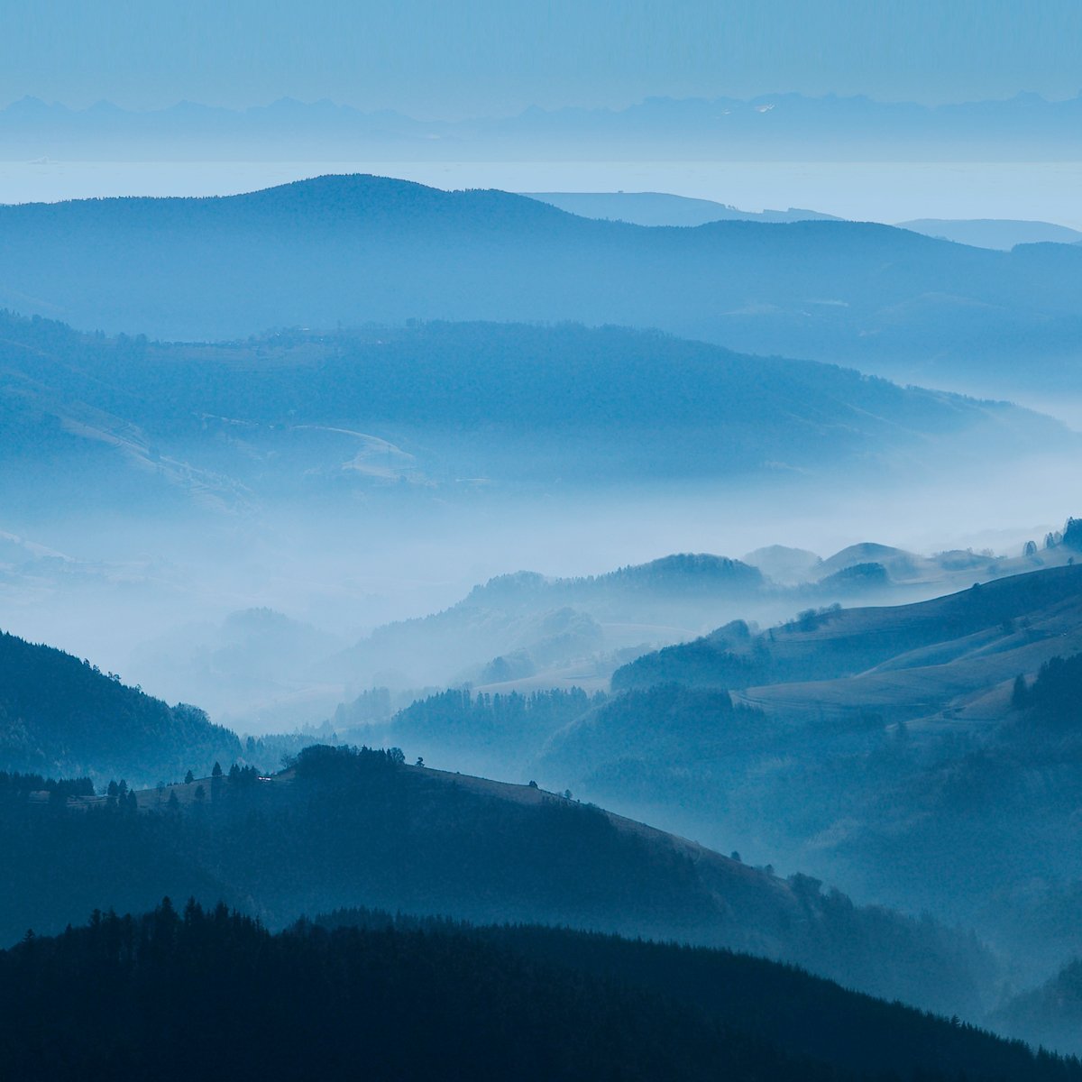 Schwarzwald Panorama