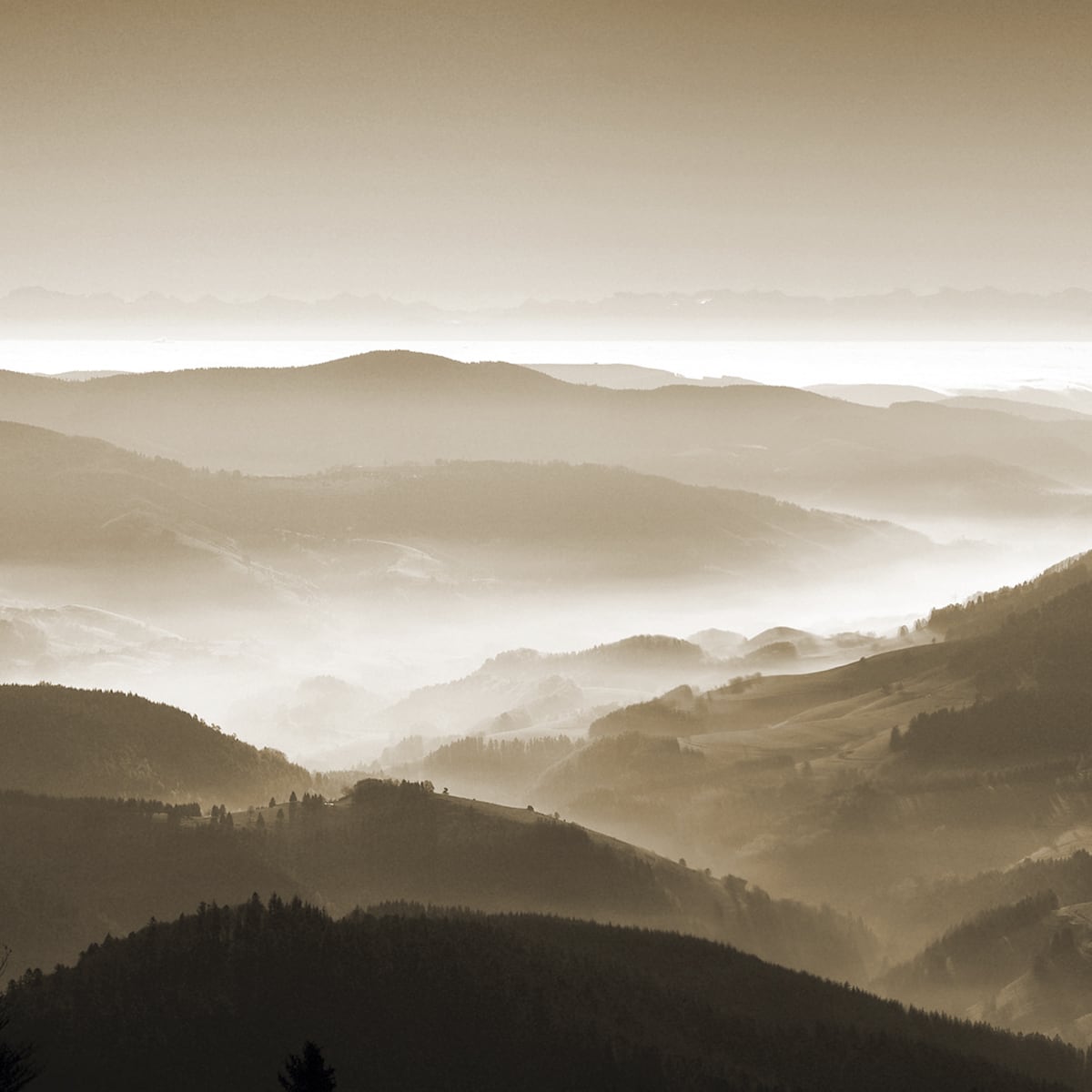 Das Berg&shy;&shy;&shy;geheimnis