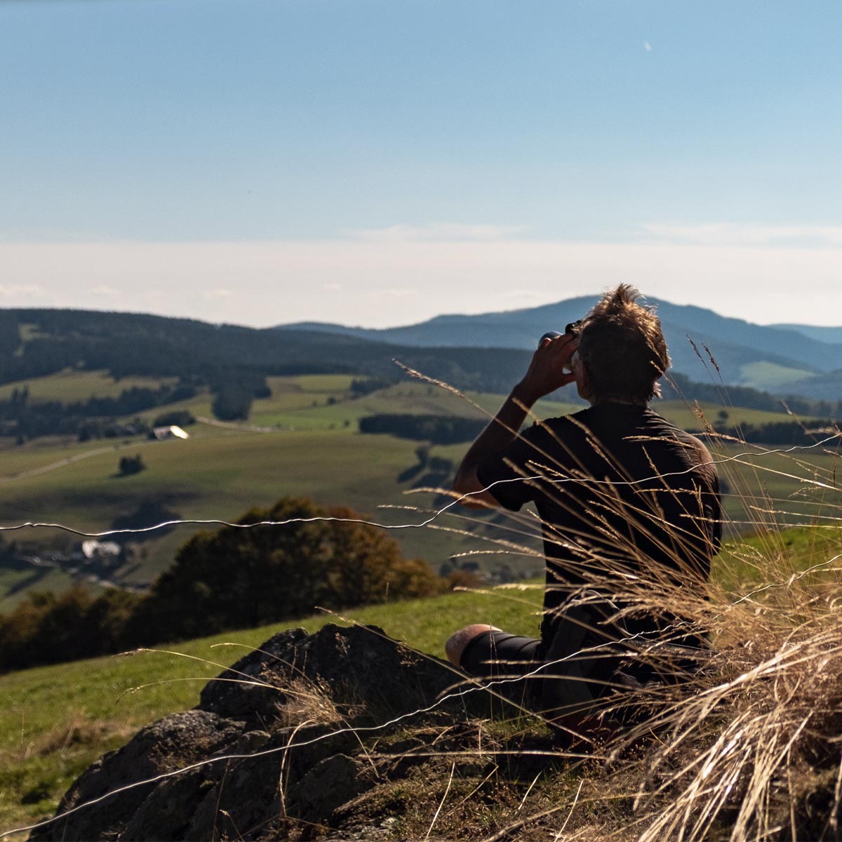 Panorama-Rundtour